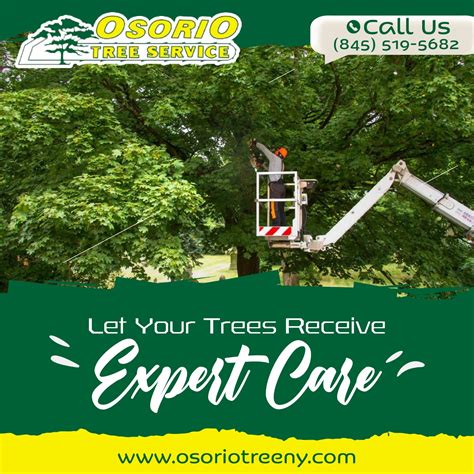 osorio tree service cost